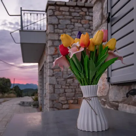 Diana's Stone House With Sea View Apartment